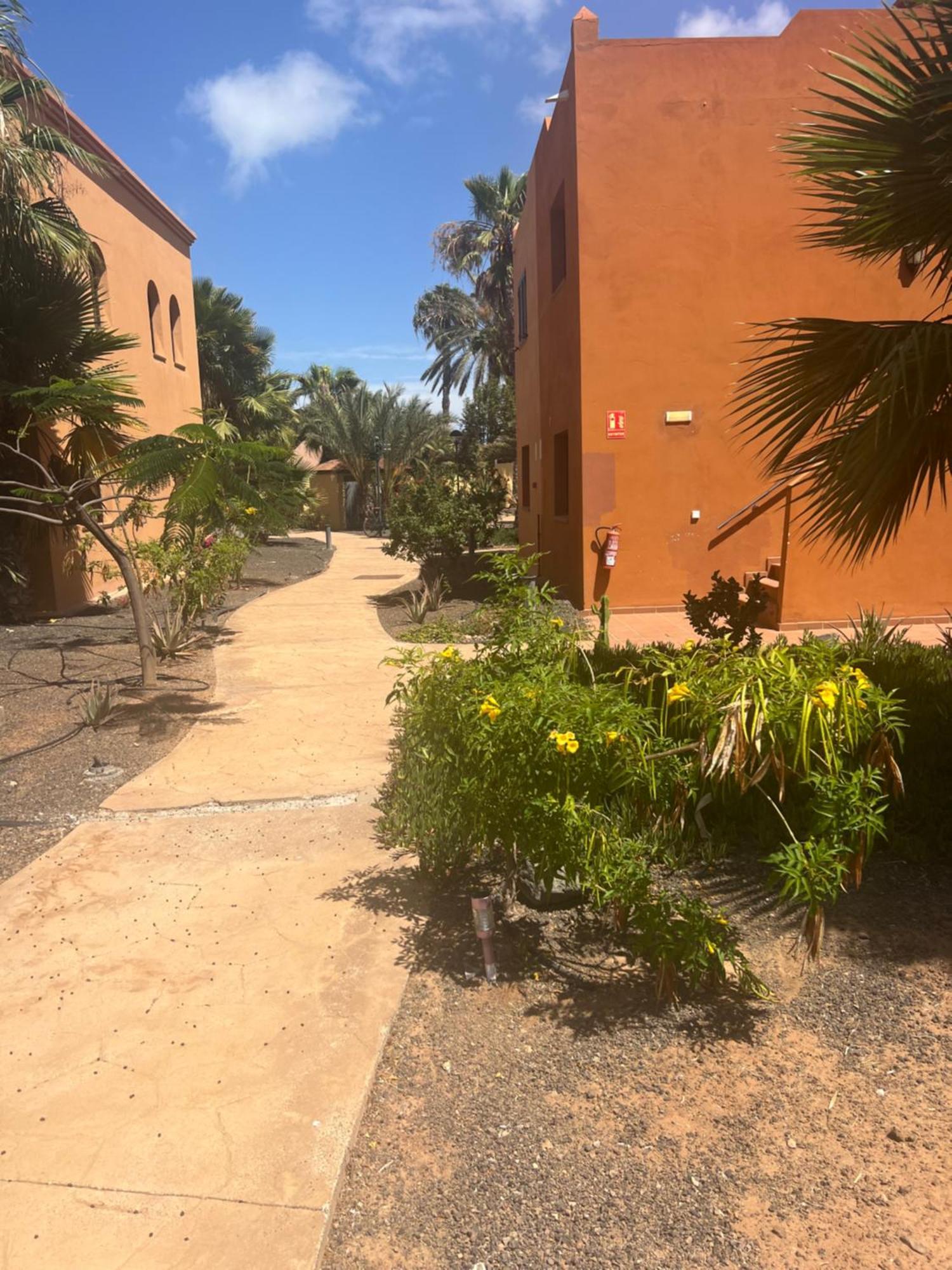 Paraiso Del Mar Corralejo Exterior foto